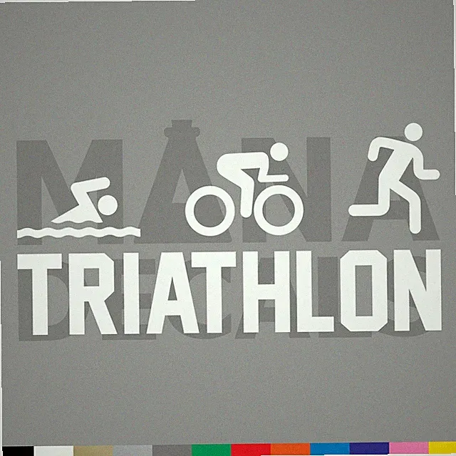 Triathlon Vinyl Die Cut Decal Sticker - Swim Bike Run Marathon Race
